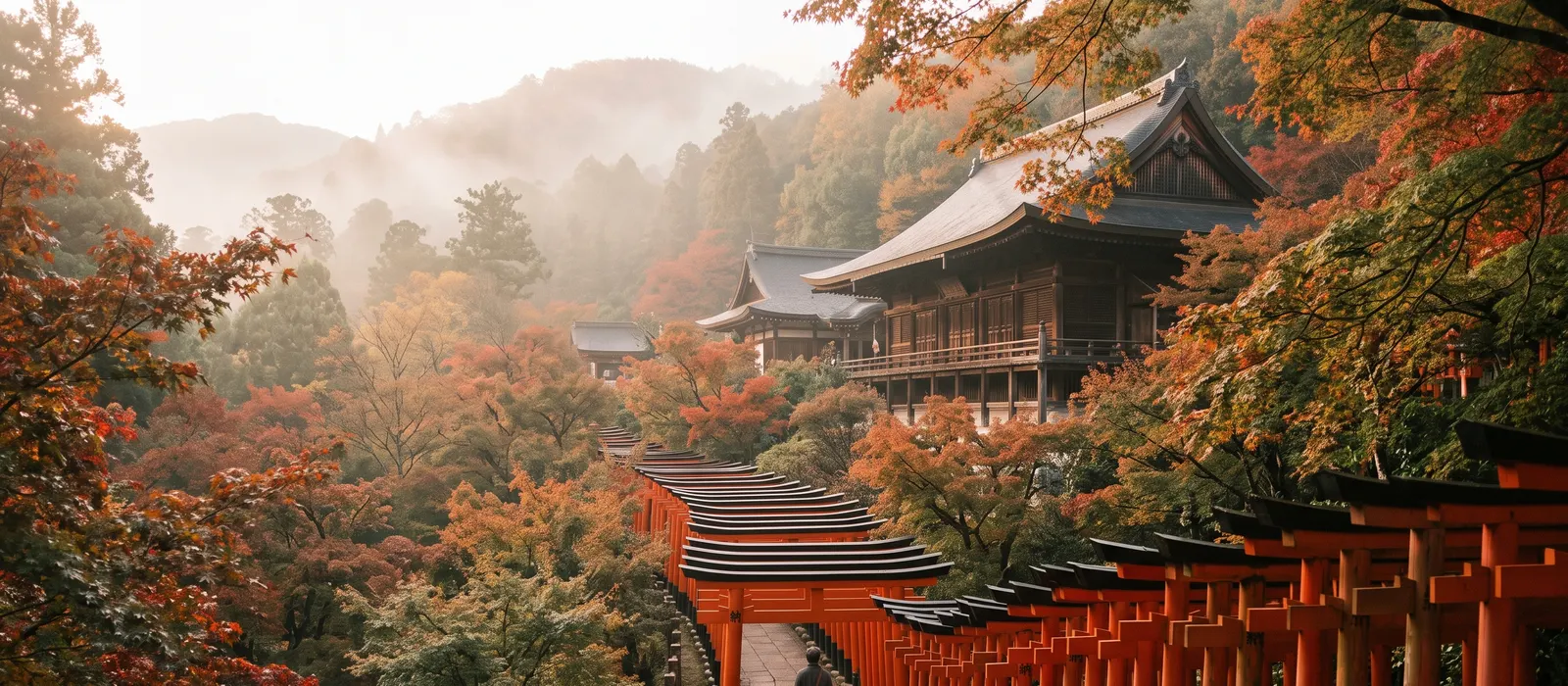 Viajar a Kioto